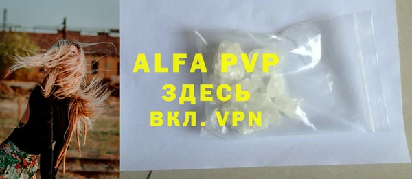 прущие грибы Белокуриха