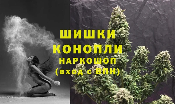 прущие грибы Белокуриха