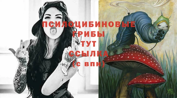 ПСИЛОЦИБИНОВЫЕ ГРИБЫ Богданович