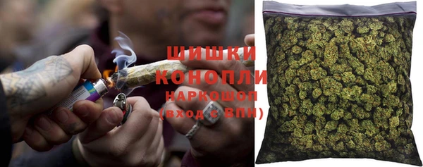 прущие грибы Белокуриха