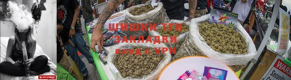 прущие грибы Белокуриха
