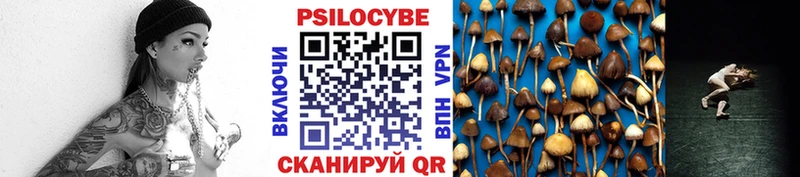darknet состав  Бугульма  Псилоцибиновые грибы мухоморы 