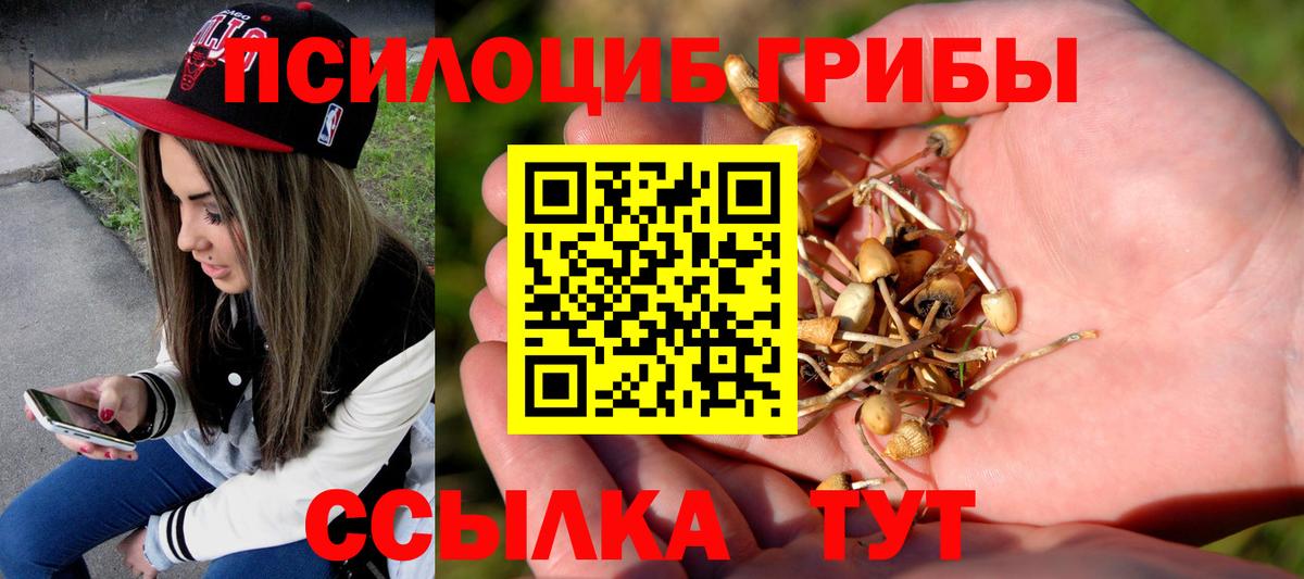 Бугульма  Галлюциногенные грибы GOLDEN TEACHER  Вход с VPN 